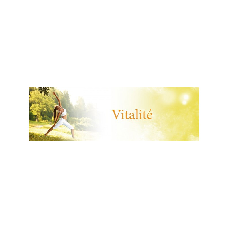 Panneau bandeau intérieur # VPX0491