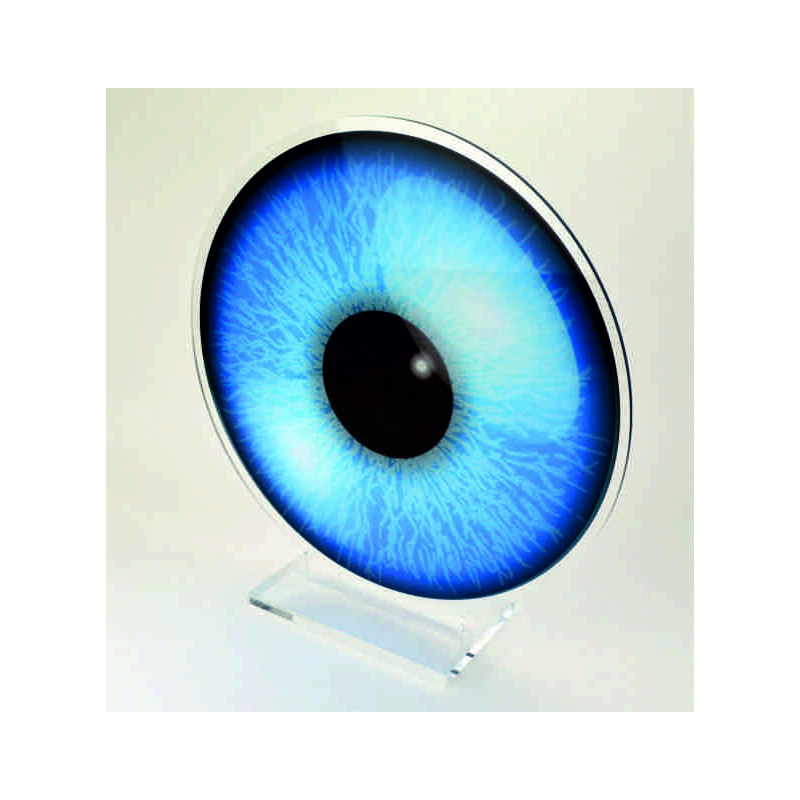 Présentoir de vitrine Iris à poser