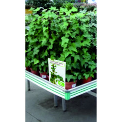 Porte affiche pour Tablar