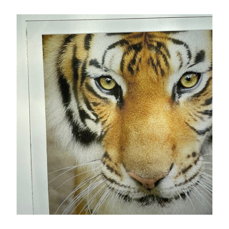 adhésif dépoli impression numérique #PI0050