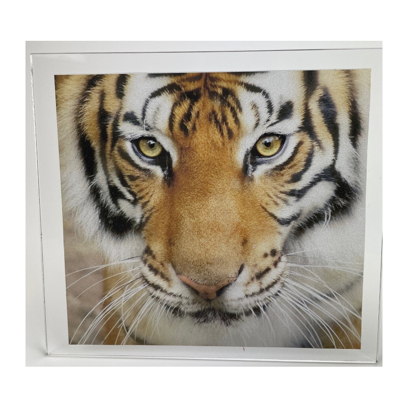 adhésif sablé impression numérique