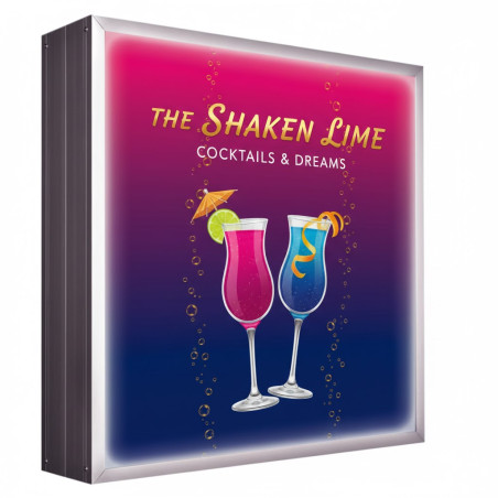 Caisson lumineux simple face plane # EN2701