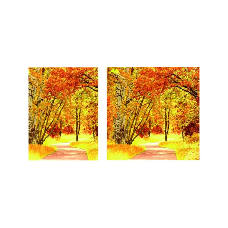 Visuel fond de vitrine "Automne3" # BC2135