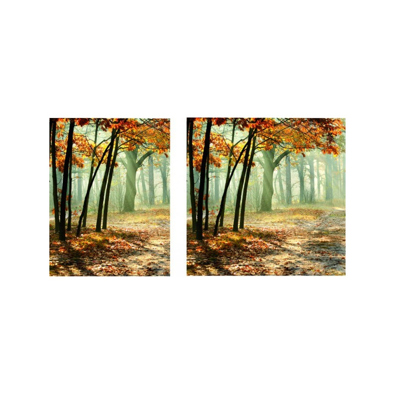 Visuel fond de vitrine "Sous - bois" # BC2131