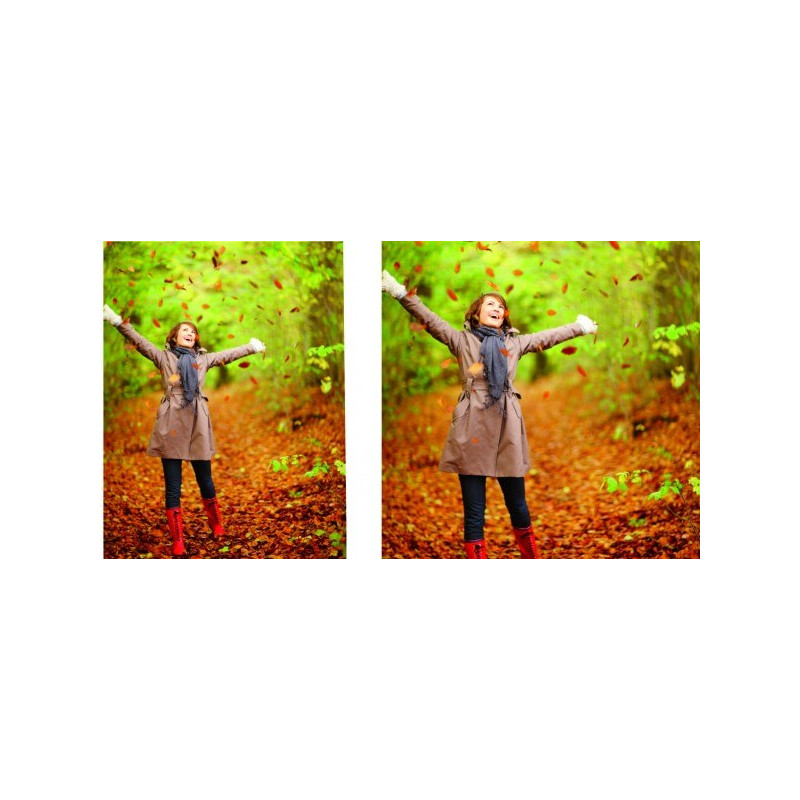 Visuel fond de vitrine "Automne" # BC1145