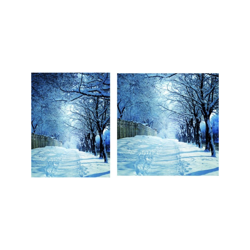 Visuel fond de vitrine "Hiver2" # BC1135