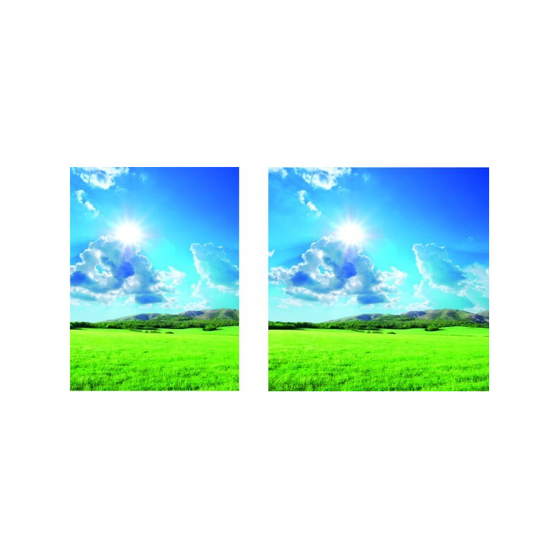 Visuel fond de vitrine "Printemps4" # BC1127