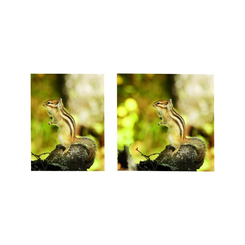 Visuel fond de vitrine "Printemps3" # BC1123