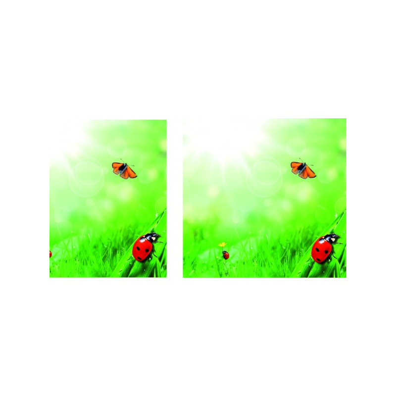 Visuel fond de vitrine "Coccinelle" # BC1111