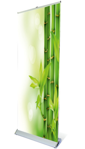 exemple de kakémono roll up imprimé