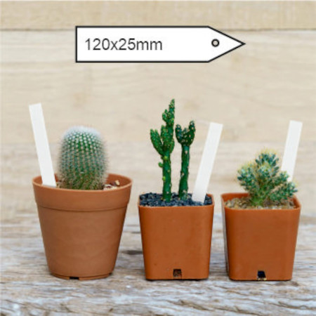 pic prix plantes